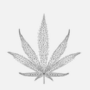 CBD Kosmetiköl