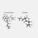 Coenzym Q10 und Carnitin
