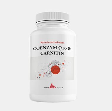 Coenzym Q10 und Carnitin