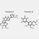 Vitamin D und K